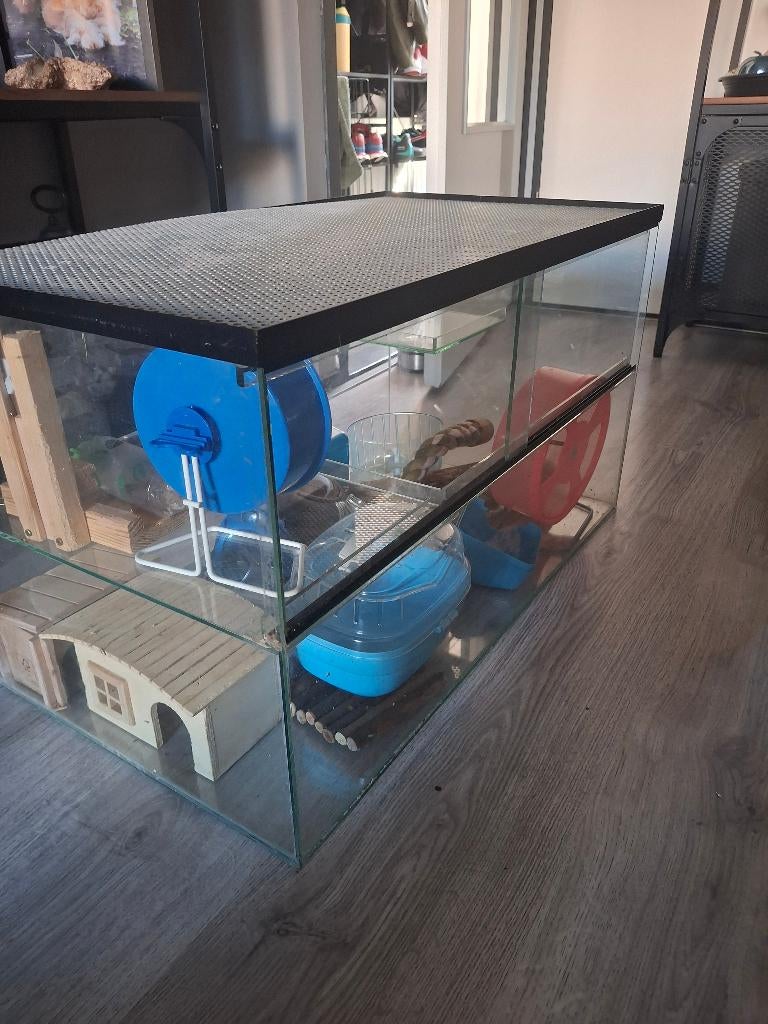 vidaXL Terrarium 100x47x47 cm bewerkt hout, glazen terrarium, reptielenverblijf, reptielenbak, glazen bak, reptielen voederhok, glazen terraria