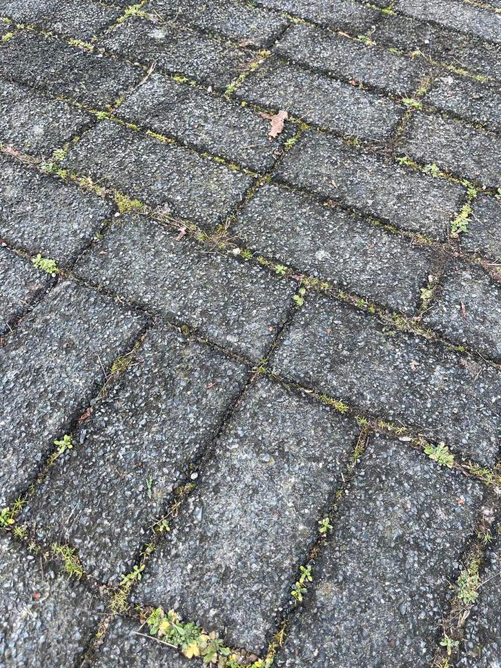 Gratis: Grijs gemêleerde uitgewassen betontegels (20m²), Tuin en Terras, Tegels en Klinkers, Gebruikt, Terrastegels, Beton, 10 m² of meer