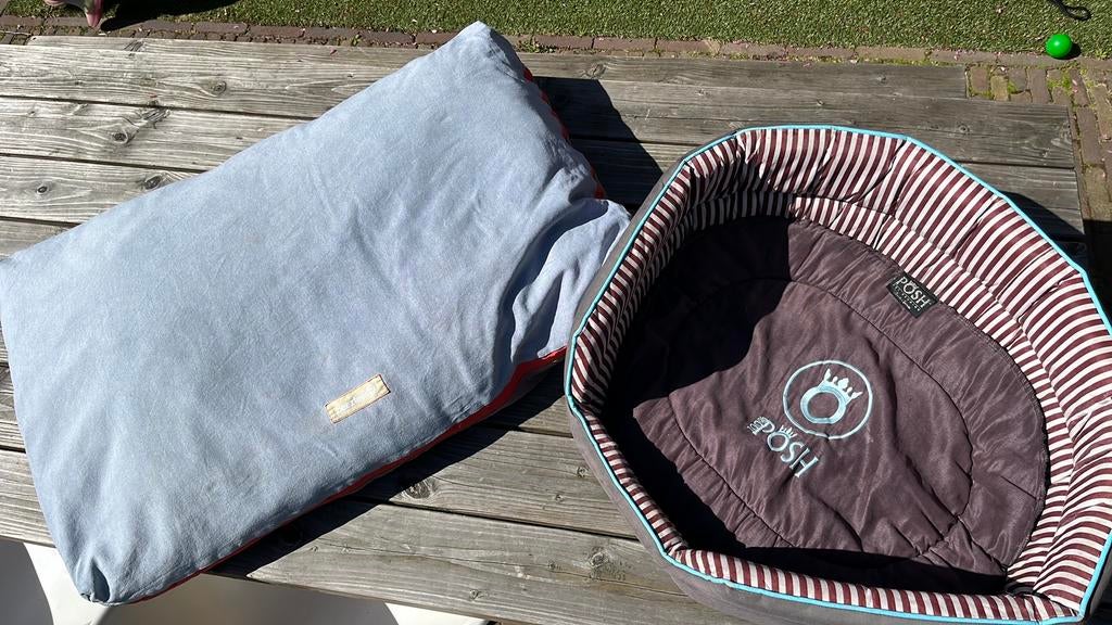 Hondenkussen (beeztees) en hondenmandje (Posh), Ophalen, Gebruikt, Overige