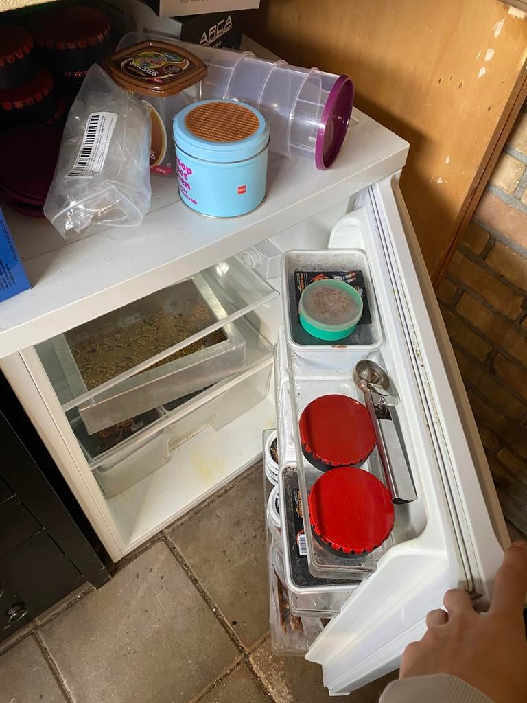 Volop Maden en Viswormen te koop, Watersport en Boten, Overige typen, Nieuw, S, H