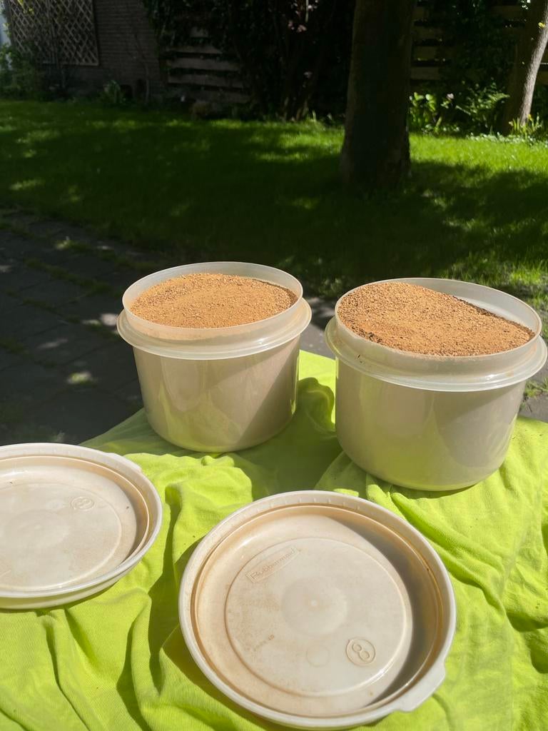 Eikengallen poeder. Inkt. Kalligrafie, Ophalen of Verzenden, Zo goed als nieuw, Overige typen