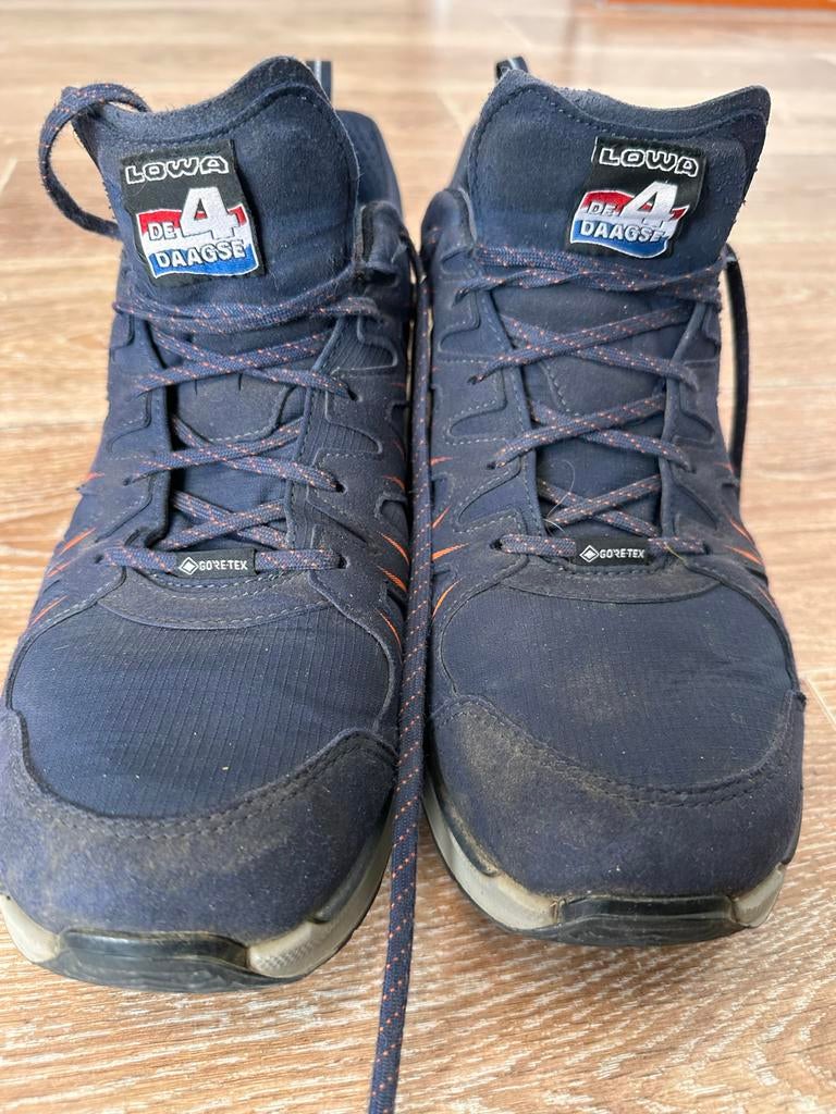 LOWA Innox Evo N4D GTX Lo –Maat 44– Speciale 4Daagse editie, Ophalen of Verzenden, Gebruikt, Schoenen