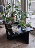 Plantentafel / salontafel zonder planten, Huis en Inrichting, Ophalen, 50 tot 100 cm, 50 tot 100 cm, Minder dan 50 cm
