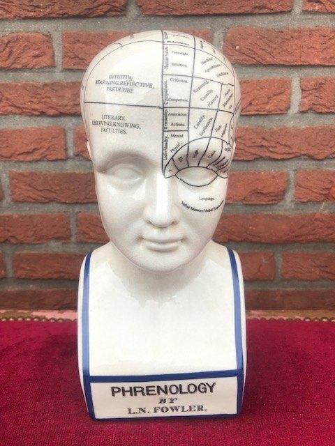 porseleinen studiemodel, frenologie, Antiek en Kunst, Ophalen of Verzenden