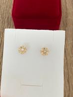 Mooie 14 karaat (585) gouden oorbellen, -, -, Nieuw, Ophalen of Verzenden