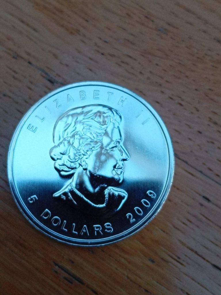 Canadese maple leaf jaar 2009 1 oz unc, Ophalen of Verzenden, Noord-Amerika, Losse munt, Zilver