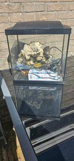 Aquarium met toebehoren, Ophalen, Zo goed als nieuw, Leeg aquarium