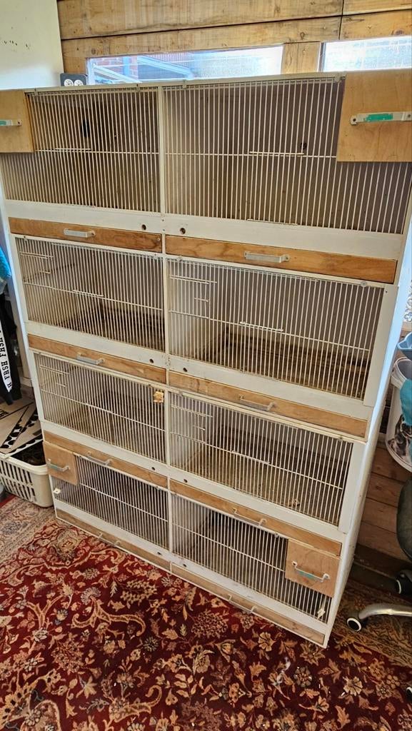 Twee kweek kooien in blokken van vier, Ophalen, Gebruikt, Hout, Broedkooi of Kweekkooi