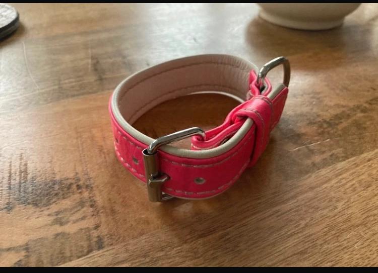 Leren halsbandjes kleine maten, Ophalen of Verzenden, Nieuw