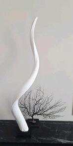 Mooie grote licht beige bewerkte kudu hoorn op zwarte voet, Nieuw, Ophalen of Verzenden, X, X