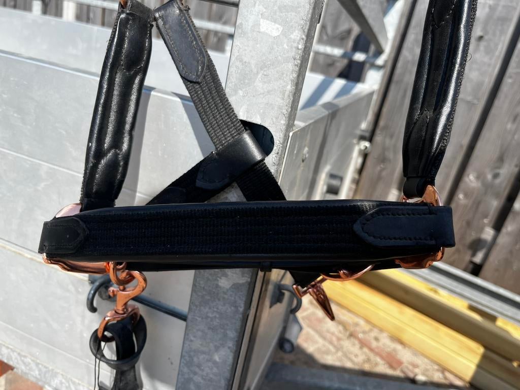 Halster waldhausen pony, Dieren en Toebehoren, Paarden en Pony's | Overige Paardenspullen, Ophalen of Verzenden, Nieuw, Dressuur