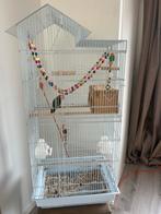 Jonge Agapornis incl kooi, Ophalen, Metaal, Vogelkooi