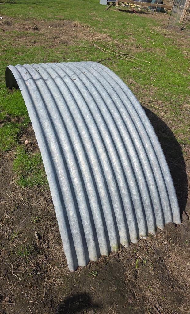 Witloofplaten, gebogen golfplaat, Ophalen