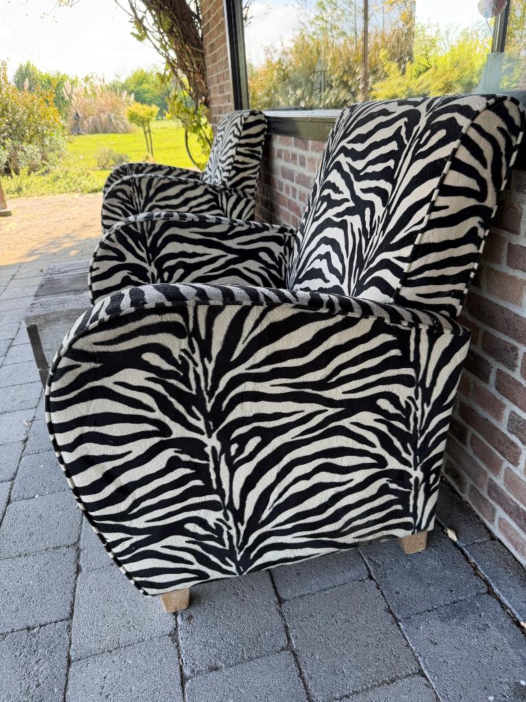 Stoelen 2 stuks zebra print, Ophalen, Gebruikt, Twee, Overige kleuren