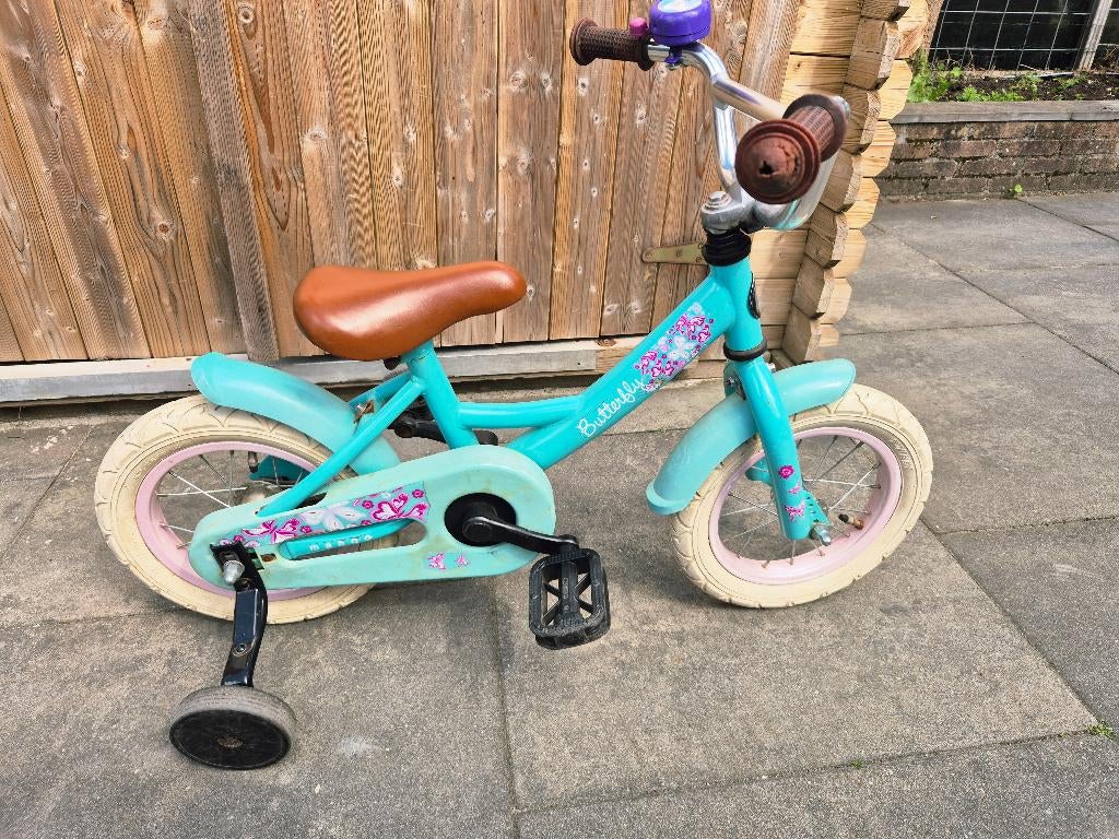 Mintgroen Butterfly 12 inch kinderfiets, Ophalen of Verzenden, Gebruikt, Minder dan 16 inch, Zijwieltjes