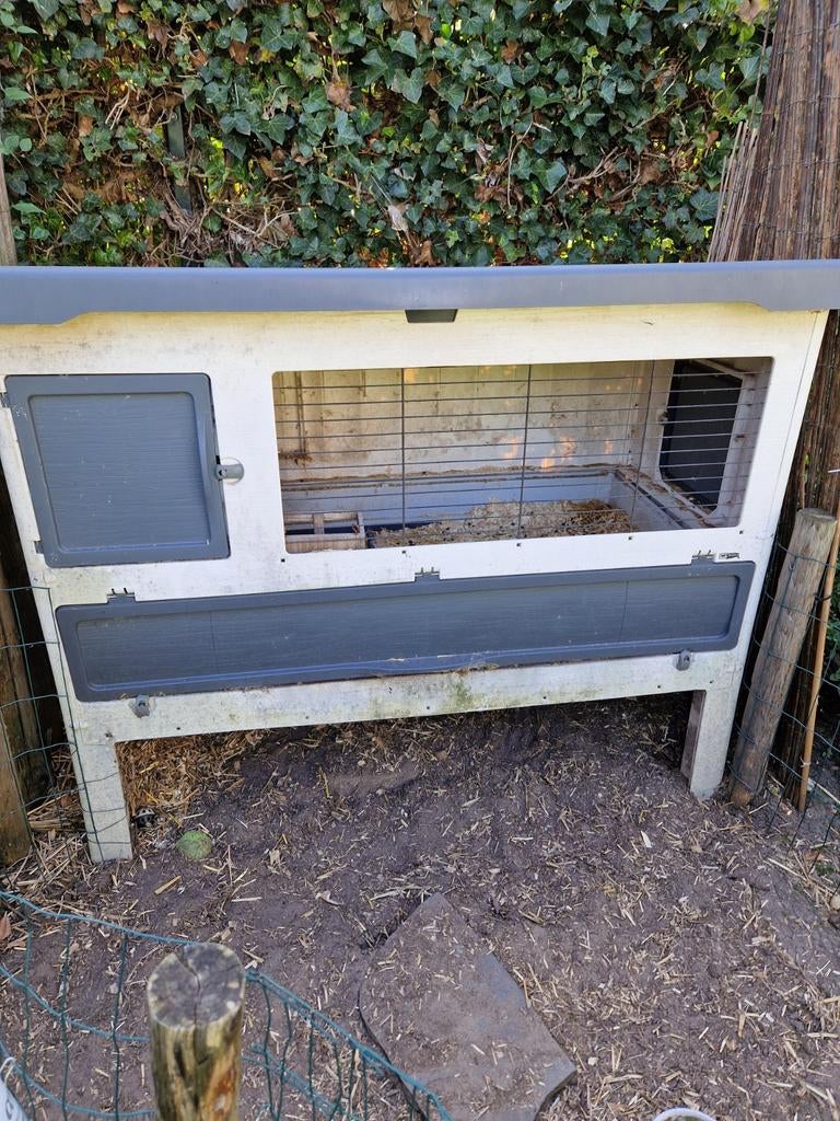 Ferplast konijnenhok, Dieren en Toebehoren, Ophalen, 90 cm of meer, Hok, 110 cm of meer