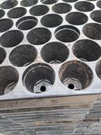 160 gebruikte zaaitrays 51 gaats 70 euro totaal, De Triemen 5A 9296 MB de Triemen, Kunststof, Gebruikt, Rond