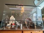 Hamster terrarium/ kooi met extra’s, Dieren en Toebehoren, Knaagdieren en Konijnen | Hokken en Kooien, Kooi, Zo goed als nieuw