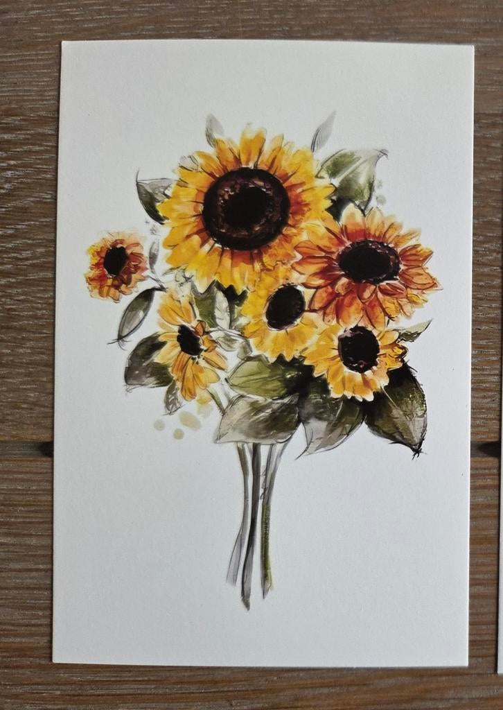 ZONNEBLOEM meerdere beschikbaar, Ophalen