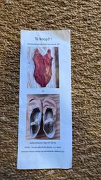 Ballerpakje en schoenen m128, 32, Ophalen of Verzenden, Zo goed als nieuw, Meisje