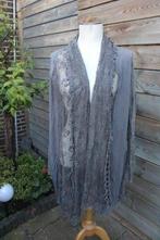 MAIS IL EST OU LE SOLEIL Vest grijs kant mt XL Vast OPRUIMIN, Kleding | Dames, MAIS IL EST OU LE SOLEIL, Maat 46/48 (XL) of groter