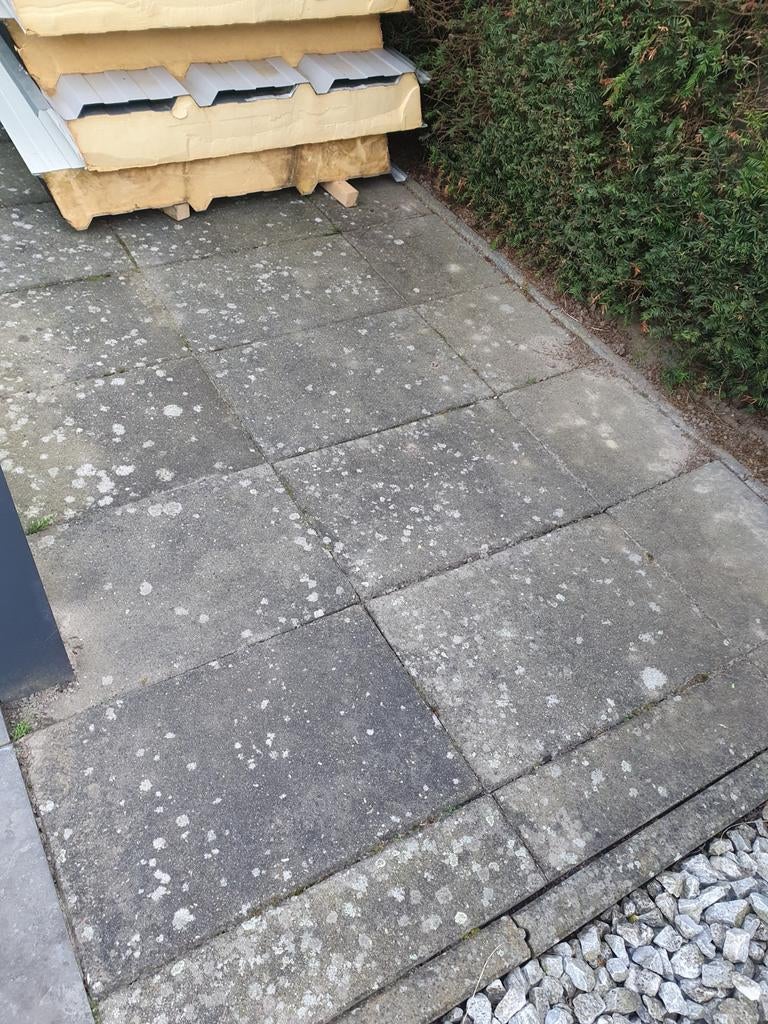 Betontegels 60x40 cm (ca. 61 stuks) GRATIS  in MEI, Gebruikt, Ophalen of Verzenden, 10 m² of meer, Beton