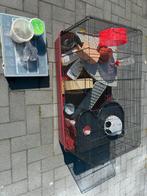 Hamsterkooi of caviakooi in zeer nette staat met alles erbij, Kooi, Minder dan 75 cm, Zo goed als nieuw, Ophalen