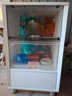 Hamsterkooi, Minder dan 60 cm, Kooi, Minder dan 75 cm, Ophalen of Verzenden