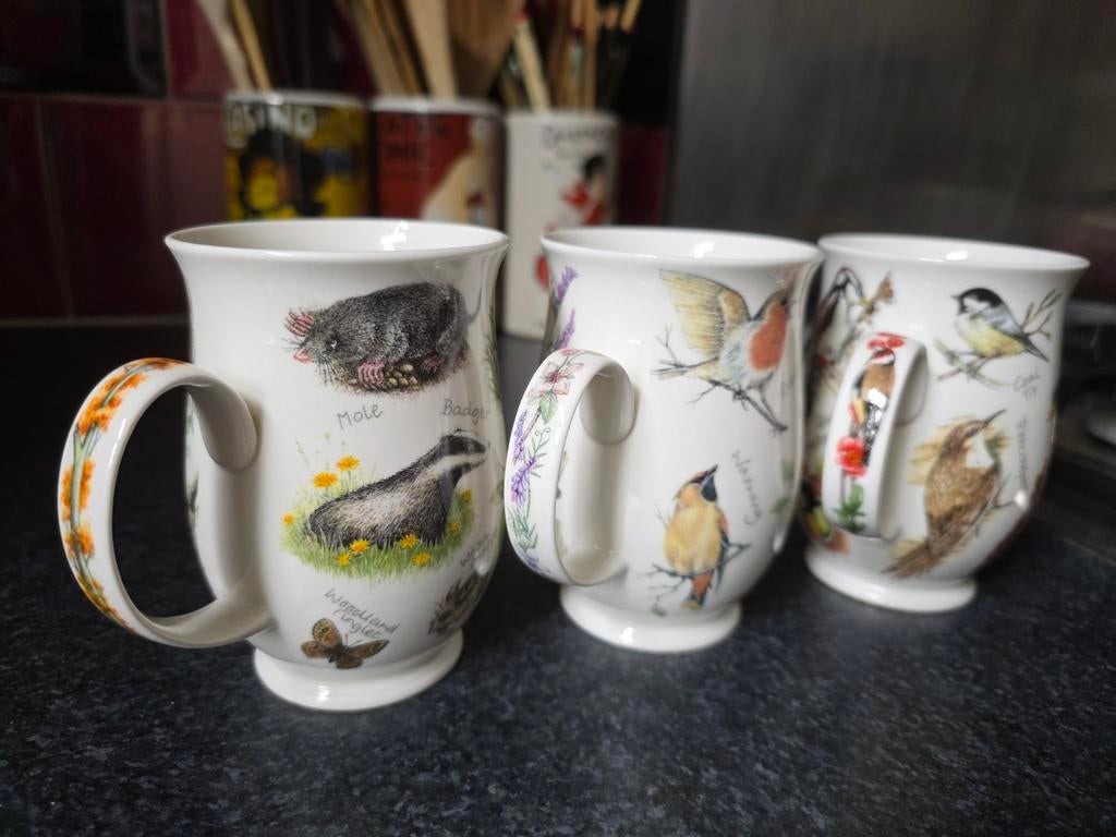 3x Dunoon Jane Fern bekers, Ophalen of Verzenden, Nieuw