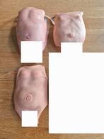 Reborn buikplaatjes, Verzamelen, Ophalen of Verzenden