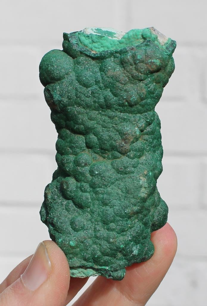 MALACHIET en CHRYSOCOLLA stalagmiet uit DR CONGO, Ophalen of Verzenden, Mineraal