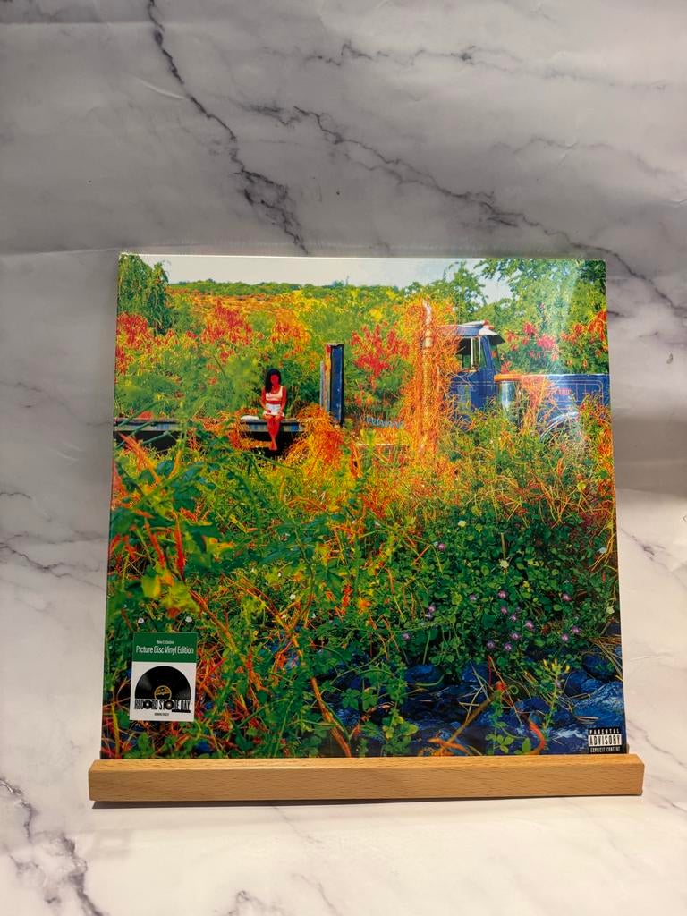 Jhene Aiko - Trip RSD Limited Picture Disc Vinyl Edition, 2010 - 2019, Ophalen of Verzenden, Zo goed als nieuw, 12 inch