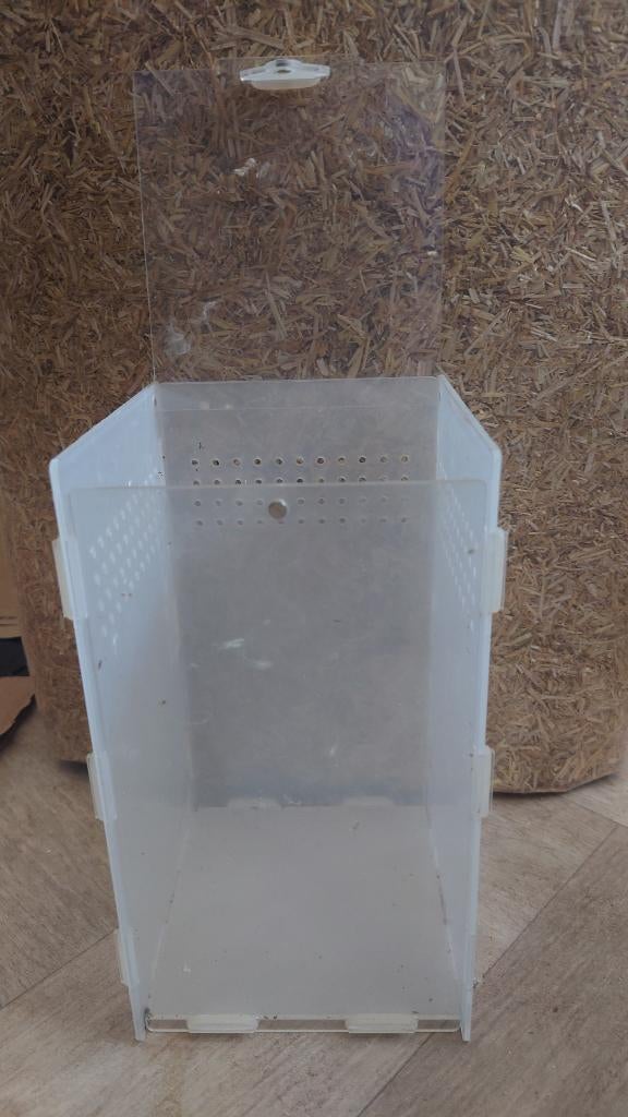 Mini terrarium, Ophalen, Zo goed als nieuw, Terrarium of Paludarium