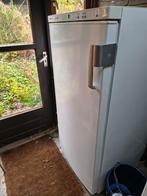 grote, vrijstaande vrieskast merk Bosch, Witgoed en Apparatuur, Vriezers en Diepvrieskisten, 120 tot 140 cm, Zo goed als nieuw