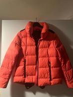 Goldbergh ski jas maat 44 (42), Ophalen of Verzenden, Zo goed als nieuw, Maat 42/44 (L), Overige kleuren