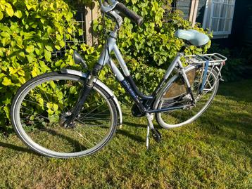 Raleigh damesfiets met Nexus 7 beschikbaar voor biedingen