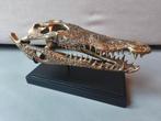 Messing Krokodillen Schedel op Standaard - 36cm, Antiek en Kunst, Ophalen of Verzenden