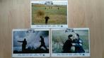 Nederlandse Lobby Cards Zwarte Ruiter (1983) (Drie stuks), Ophalen of Verzenden, Gebruikt, Film, Foto of Kaart