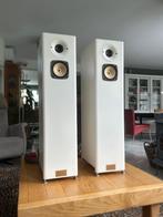 Hørning Hybrid Systems type ZEUS MKI, Zo goed als nieuw, 120 watt of meer, Front, Rear of Stereo speakers, Ophalen