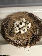 Nieuw, maar zonder verpakking, Huis en Inrichting, Woonaccessoires | Kransen, Ophalen of Verzenden, Nieuw