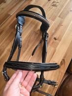 Hoofdstel maat Full, Dieren en Toebehoren, Paarden en Pony's | Hoofdstellen en Tuigage, Ophalen, Zo goed als nieuw, Dressuur