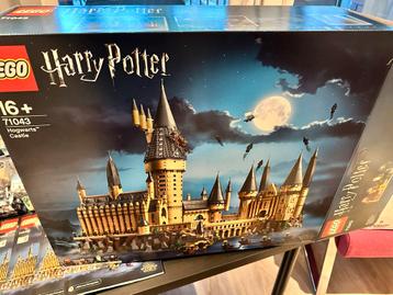 LEGO Harry Potter Kasteel - Compleet! beschikbaar voor biedingen