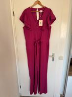 Nieuw! Aaiko Jumpsuit XXL, Kleding | Dames, Jumpsuits, Aaiko, Maat 46/48 (XL) of groter, Nieuw, Ophalen of Verzenden
