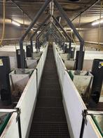 Biggenstal 2015 [540], Boekhorst Trading, Info@boekhorsttrading.com, Singel 16, Horssen
