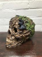 SKULL/ SCHEDEL, Antiek en Kunst, Ophalen of Verzenden