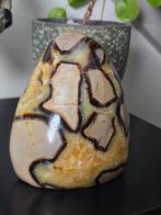 Septarie 2,3 kilo, Ophalen of Verzenden, Mineraal