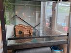 Terrarium  80x50x50, Dieren en Toebehoren, Reptielen en Amfibieën | Toebehoren, Ophalen, Zo goed als nieuw
