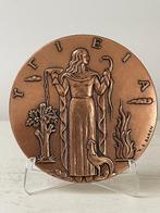 Bronzen aandenken bij 10-jarig samenwerking met MSD, Postzegels en Munten, Penningen en Medailles, Ophalen of Verzenden, Brons