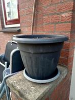 Planten / bloemenbak, Tuin en Terras, Bloembakken en Plantenbakken, Ophalen, Minder dan 30 cm, Minder dan 60 cm, Rond