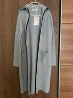 Grijs vest met capuchon Rino & Pelle - nieuw, Kleding | Dames, Truien en Vesten, Maat 38/40 (M), Nieuw, Ophalen of Verzenden, Grijs